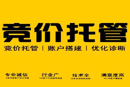 百度竞价排名实战：某电商平台的成功之路